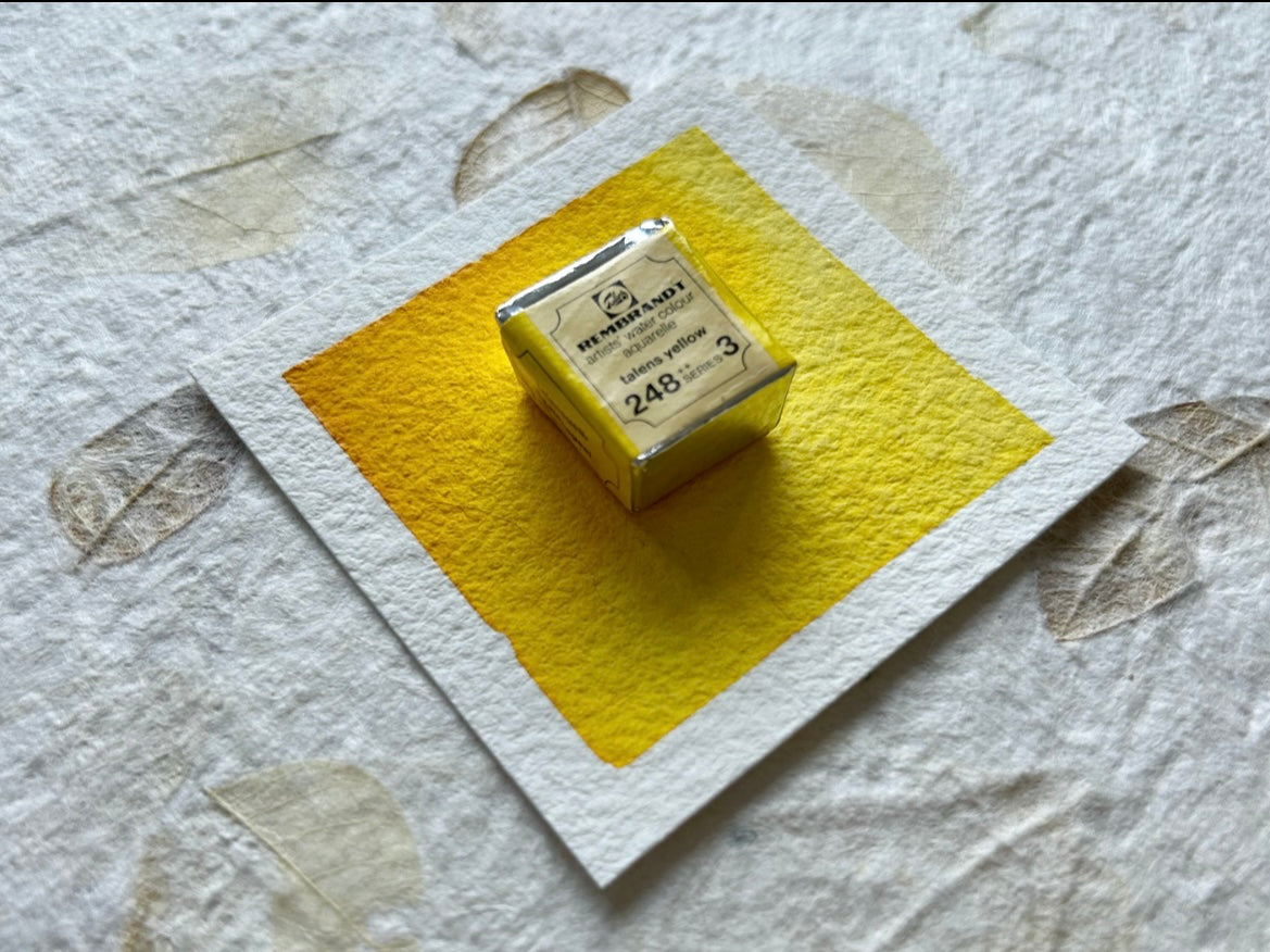 "Talens Yellow" - Vintage Rembrandt Watercolours - 70's/80's