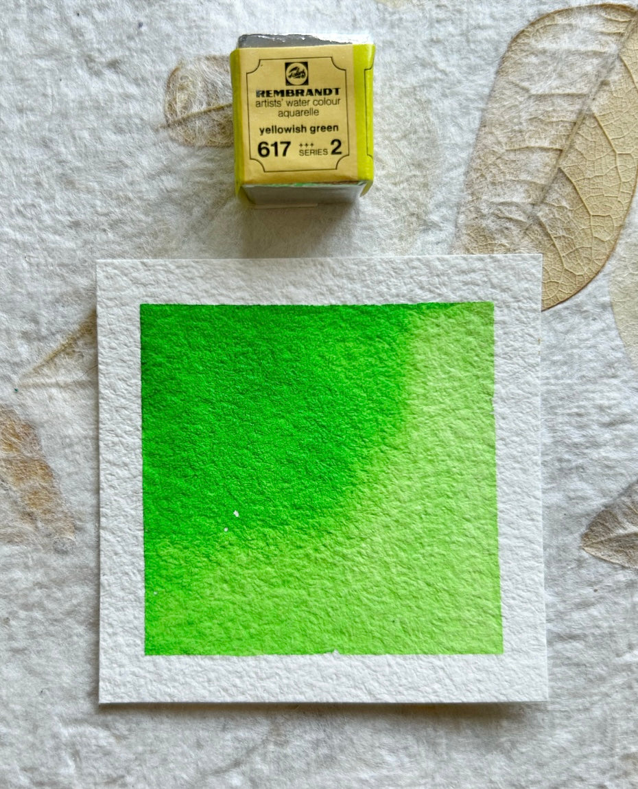 "Yellowish Green" - Vintage Rembrandt  Watercolours - 70's/80's