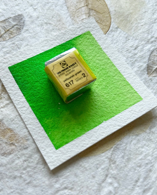 "Yellowish Green" - Vintage Rembrandt Watercolours - 70's/80's