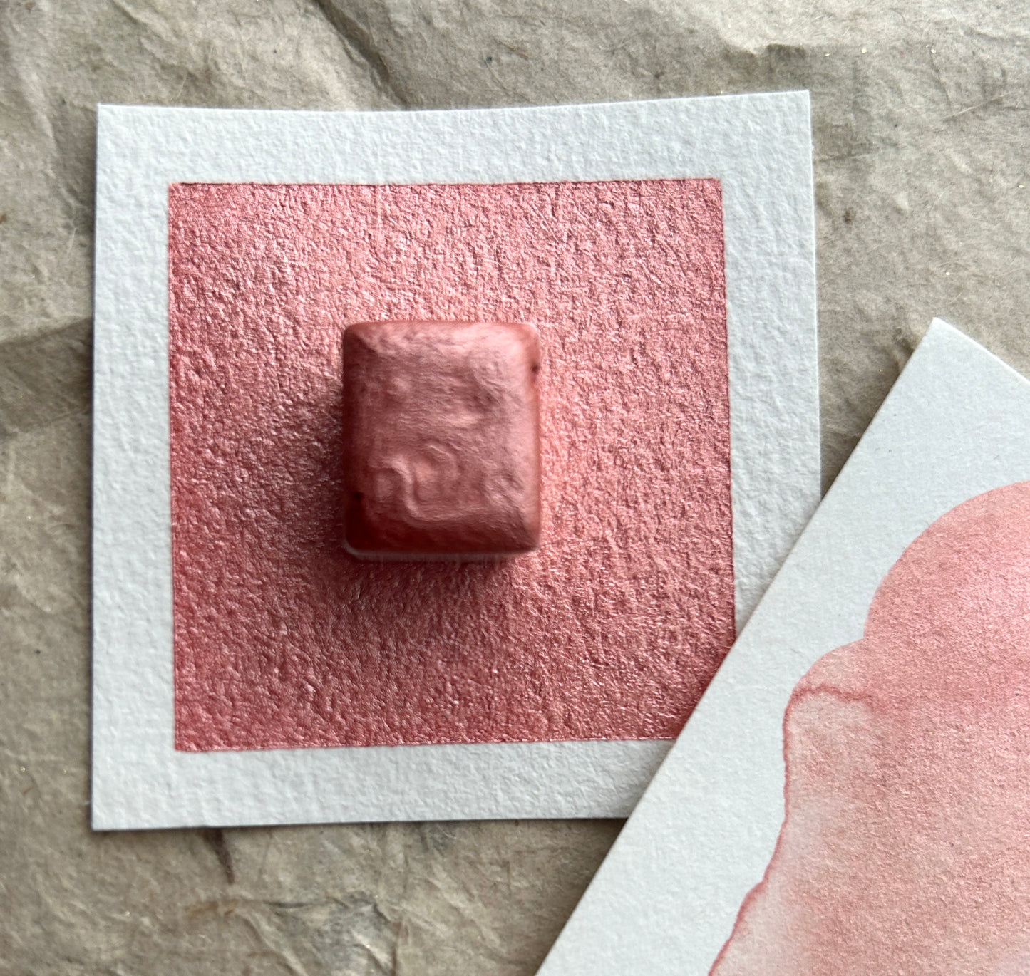 Rose Petal