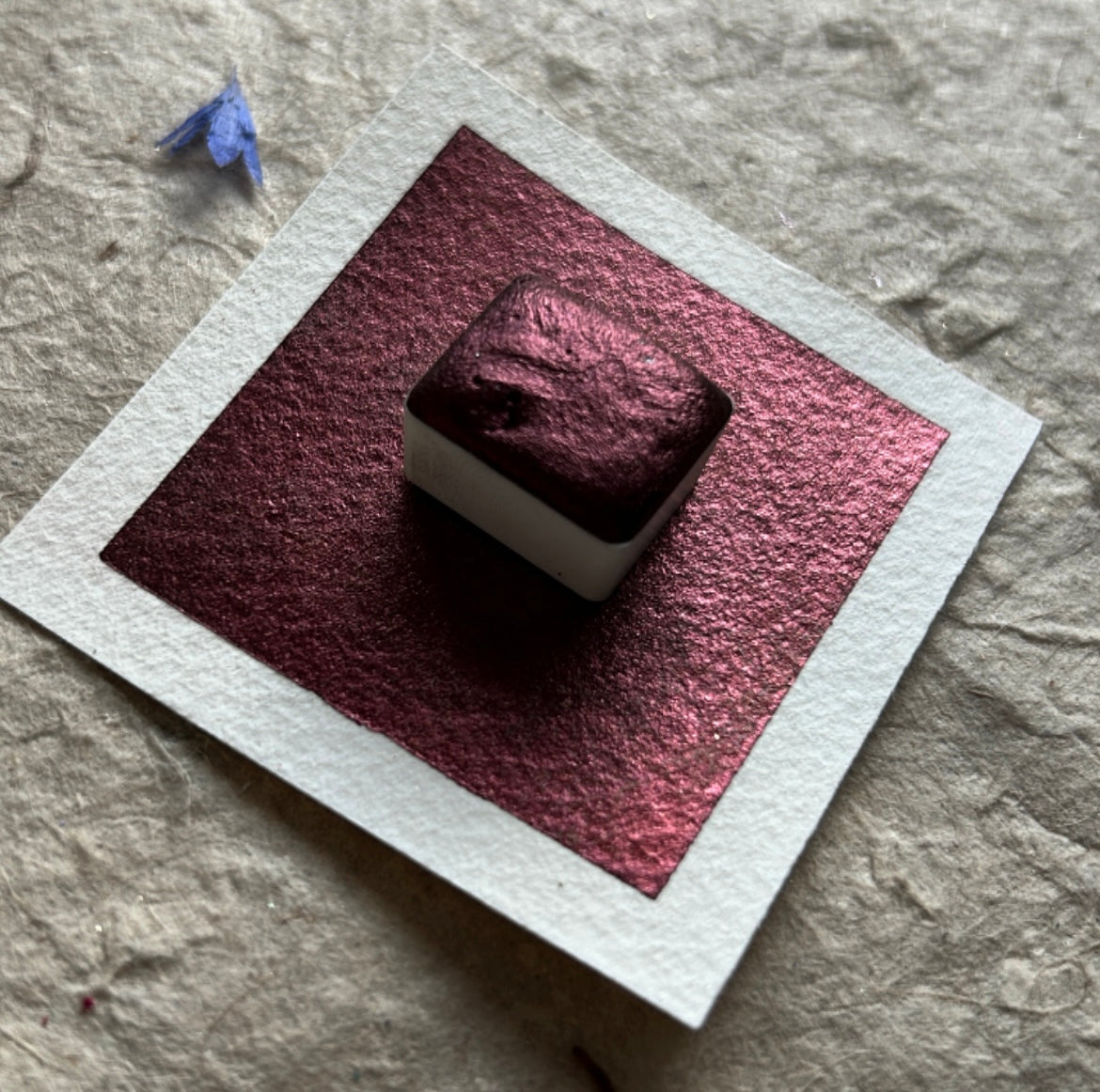 Dotcard #4 - Autumnal Palette + Cozy Holiday Palette - 12 Colour Samples