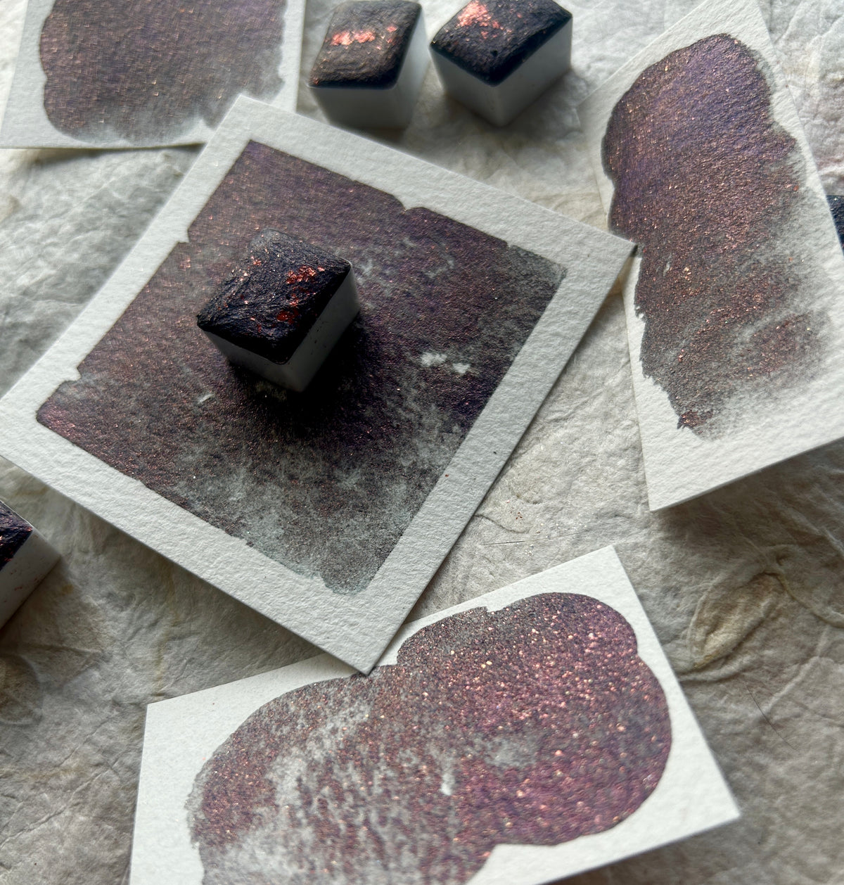 ✨New✨ Elderberry