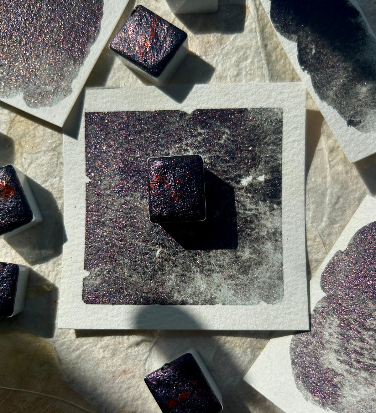 ✨New✨ Elderberry