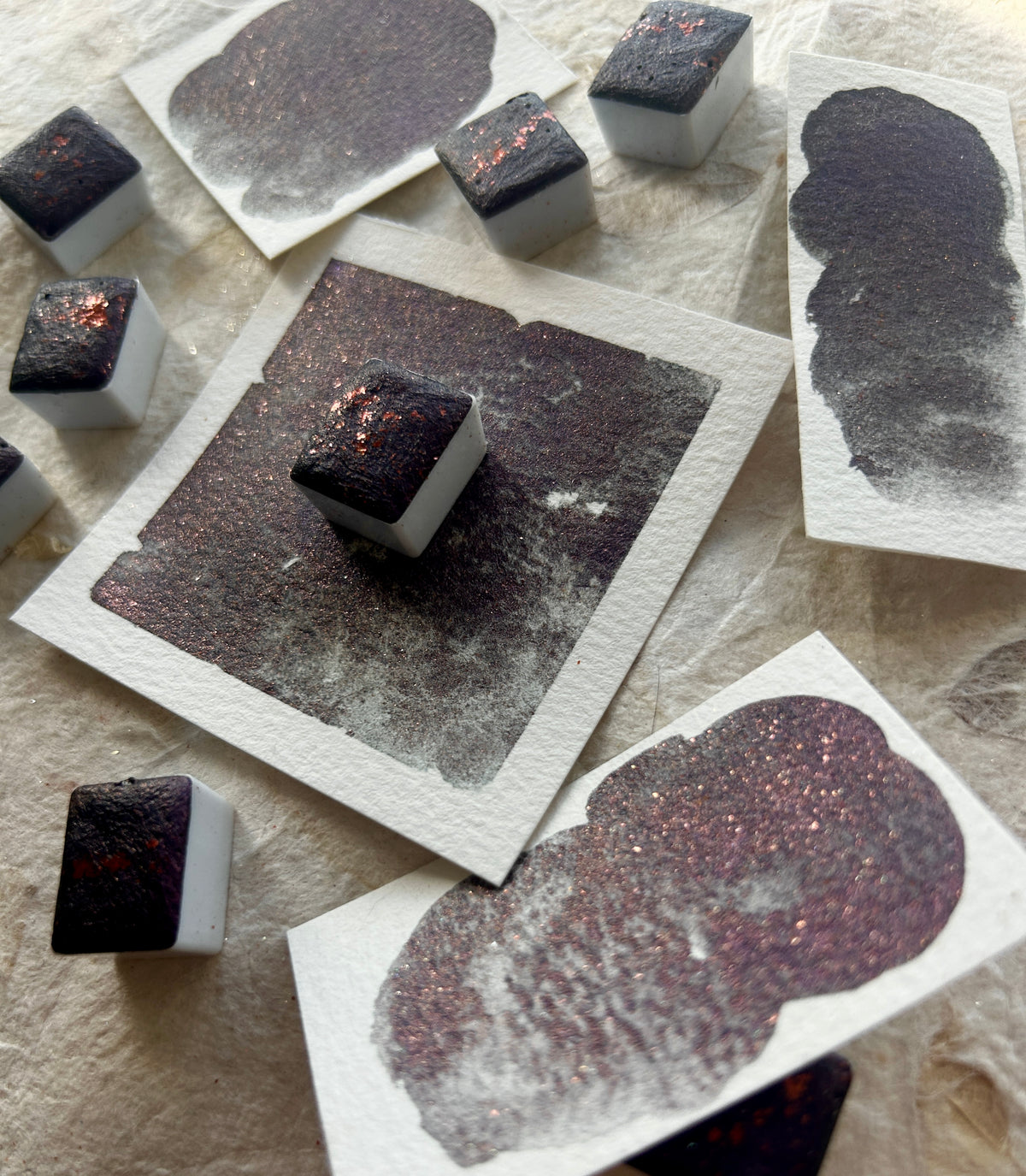 ✨New✨ Elderberry