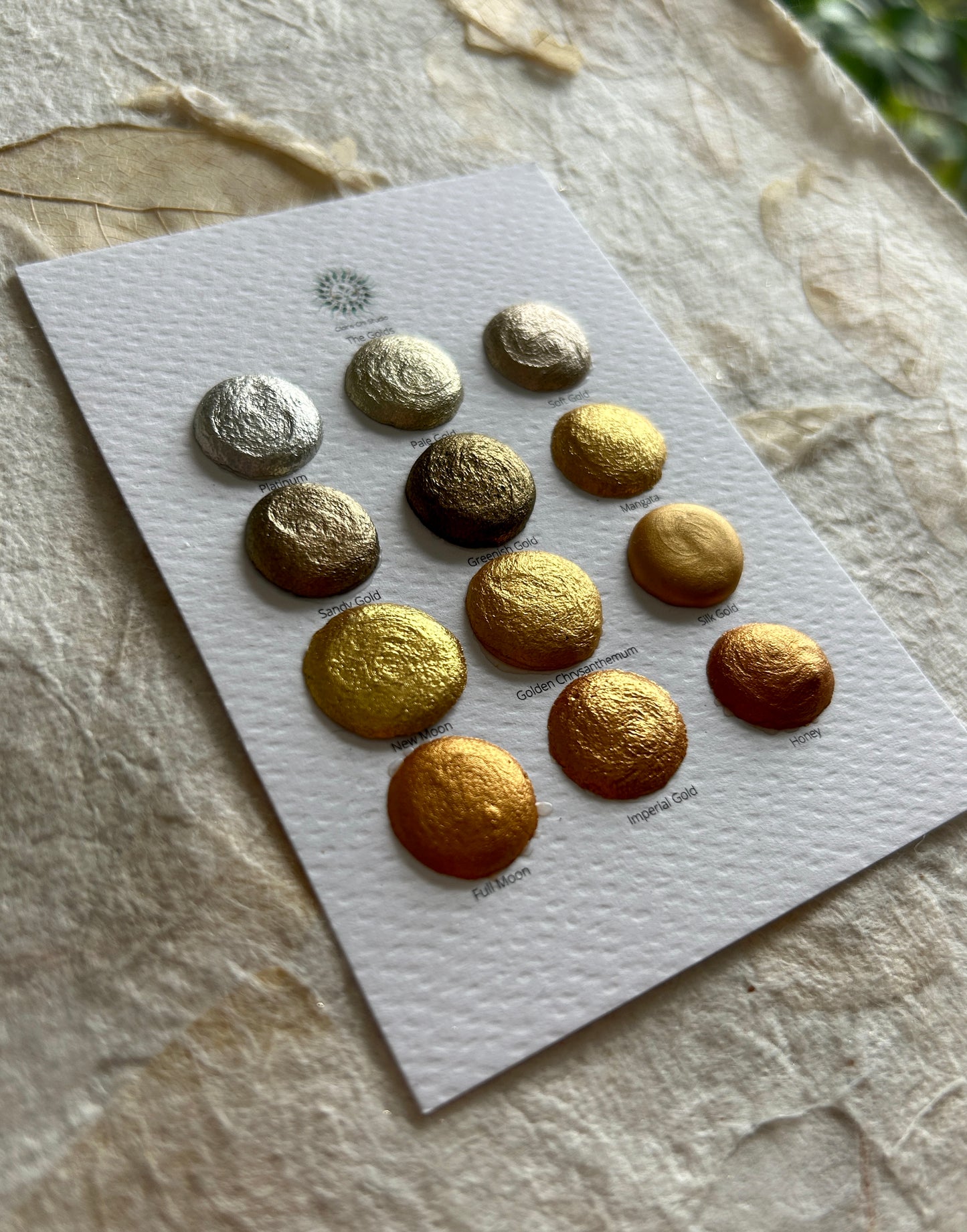 Dotcard - The Golds - 12 colours