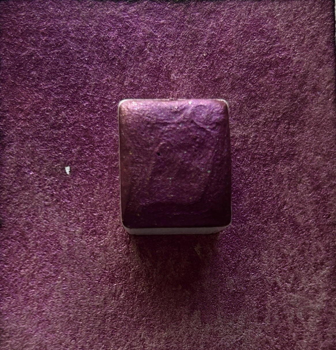 Pansy Purple