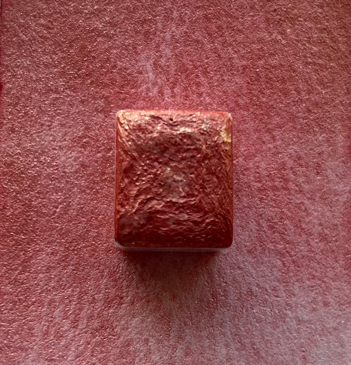 Sparkling Coral
