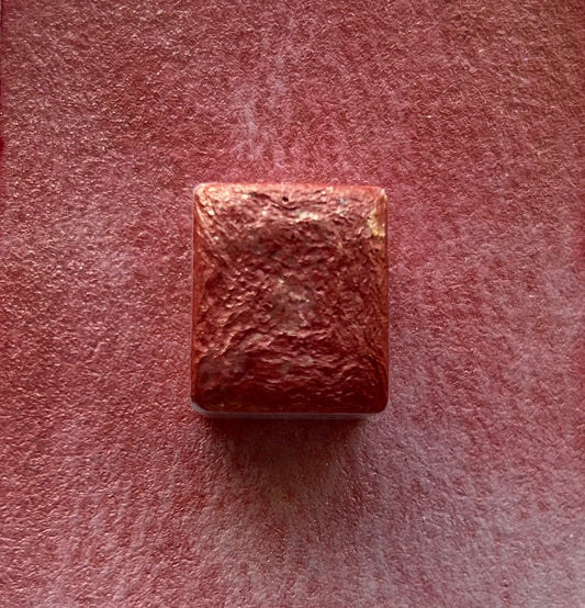 ✨New✨ Sparkling Coral