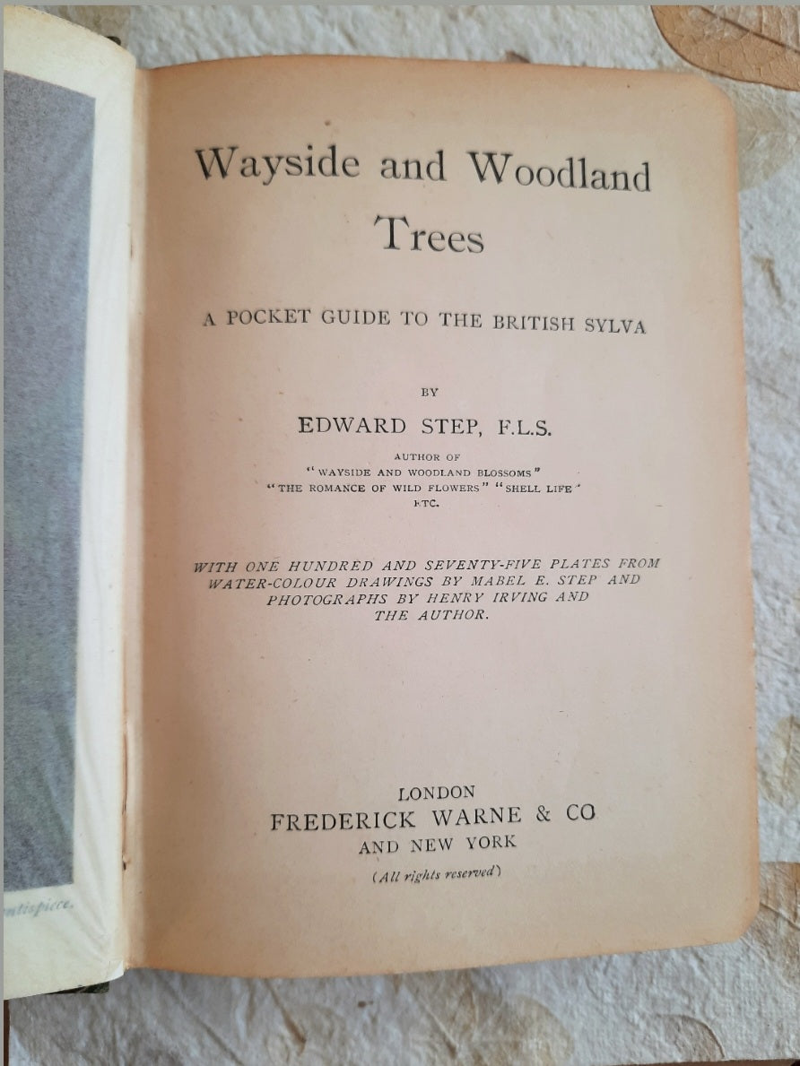 Antique Botanical Book (232 Illustrations/Photographs) - Wayside and Woodland Trees - A Pocket Guide to the British Sylva by Edward Step FLS